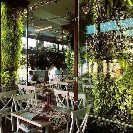 Habitat 29 Sofia